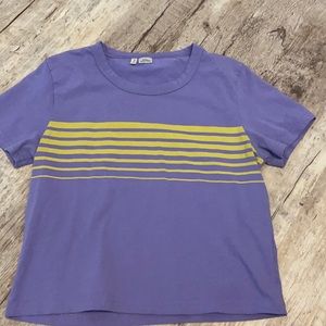 Purple Zine croptop with green lines